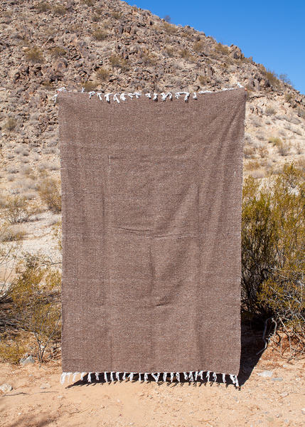 Moca Chocolate Brown with White Fringe Solid Mexican Falsa Adventure Throw Camping Blanket Made in Mexico